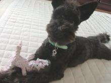 かりんと遊ぼっ♪