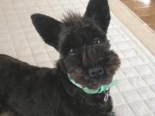 かりんと遊ぼっ♪