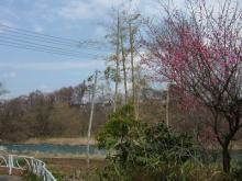 かりんと遊ぼっ♪