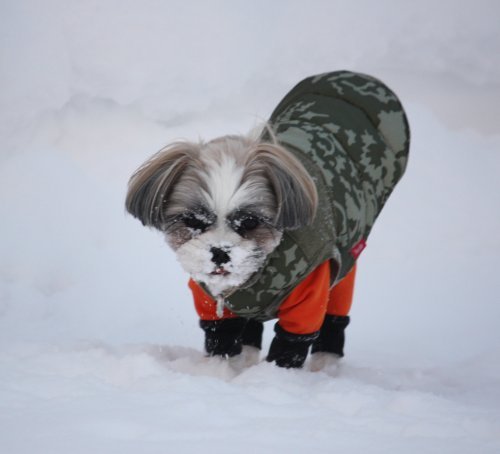 かりんと遊ぼっ♪