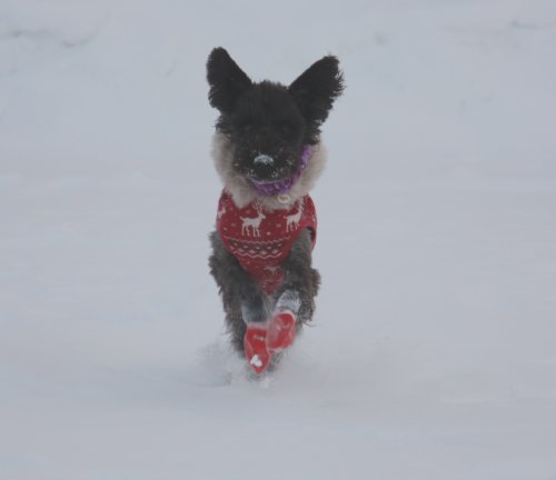 かりんと遊ぼっ♪