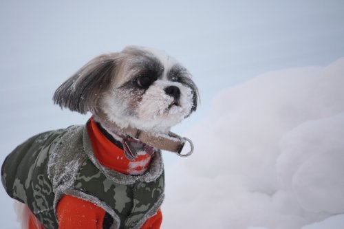 かりんと遊ぼっ♪