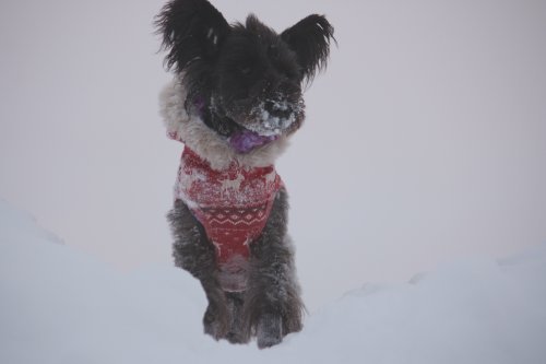 かりんと遊ぼっ♪