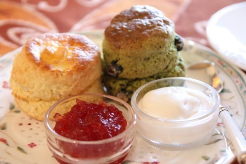 かりんと遊ぼっ♪