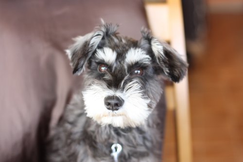 かりんと遊ぼっ♪