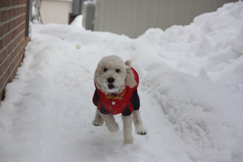 かりんと遊ぼっ♪