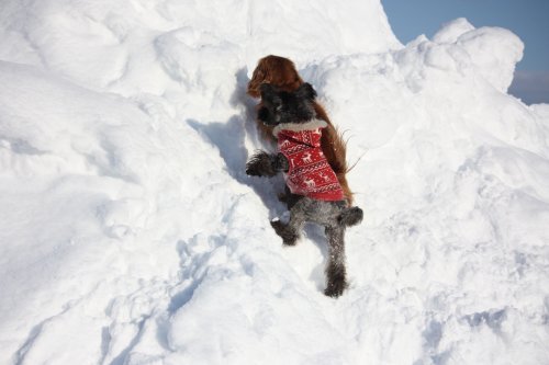 かりんと遊ぼっ♪