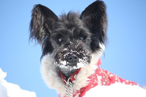 かりんと遊ぼっ♪