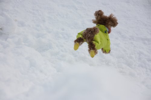 かりんと遊ぼっ♪