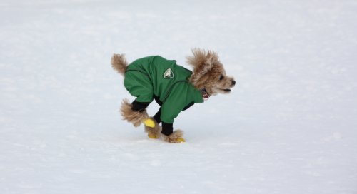 かりんと遊ぼっ♪