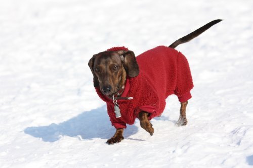 かりんと遊ぼっ♪