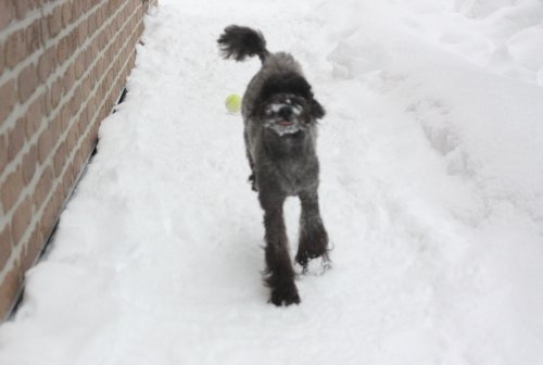 かりんと遊ぼっ♪