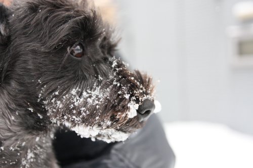 かりんと遊ぼっ♪