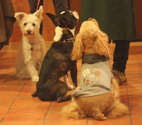 かりんと遊ぼっ♪