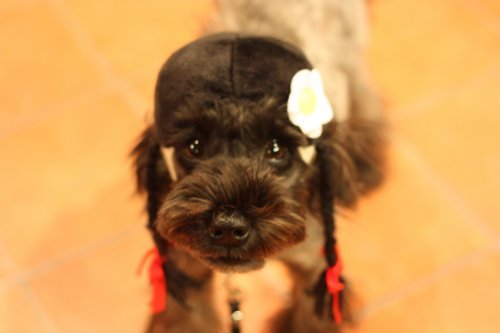 かりんと遊ぼっ♪