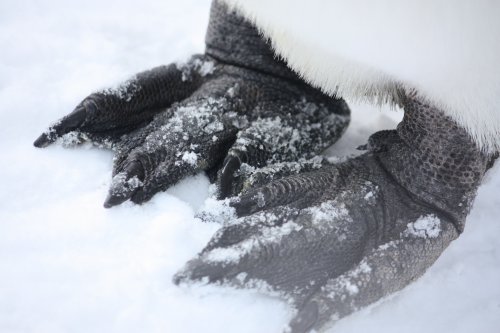 かりんと遊ぼっ♪