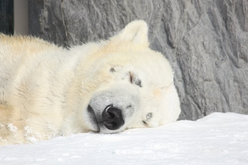 かりんと遊ぼっ♪