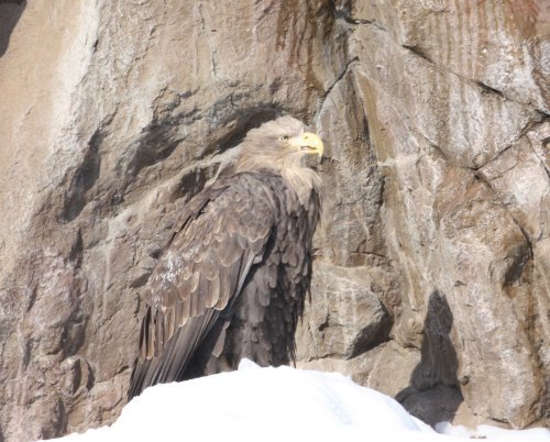 かりんと遊ぼっ♪