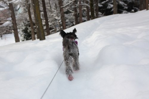 かりんと遊ぼっ♪