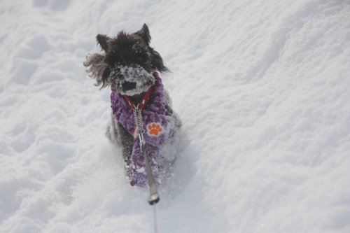 かりんと遊ぼっ♪
