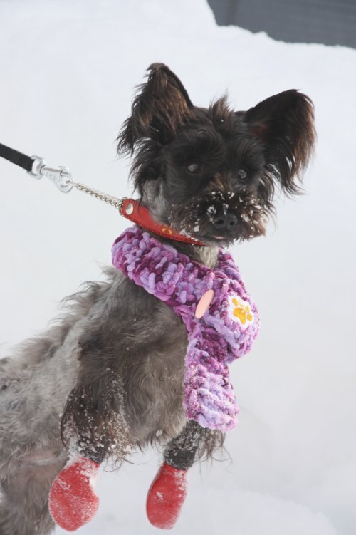 かりんと遊ぼっ♪