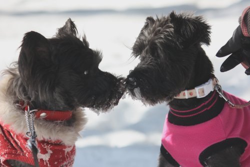 かりんと遊ぼっ♪