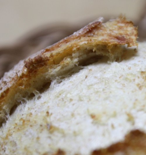 かりんと遊ぼっ♪