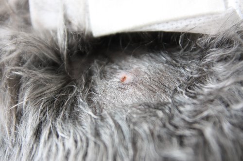 かりんと遊ぼっ♪