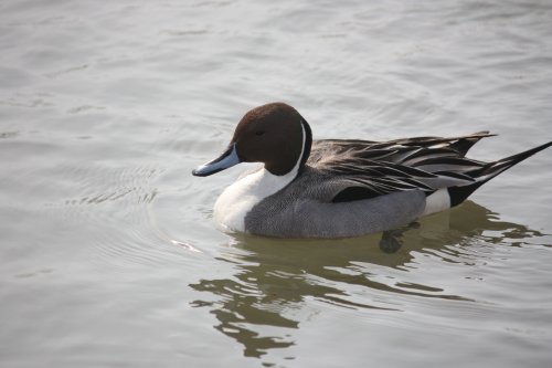 かりんと遊ぼっ♪