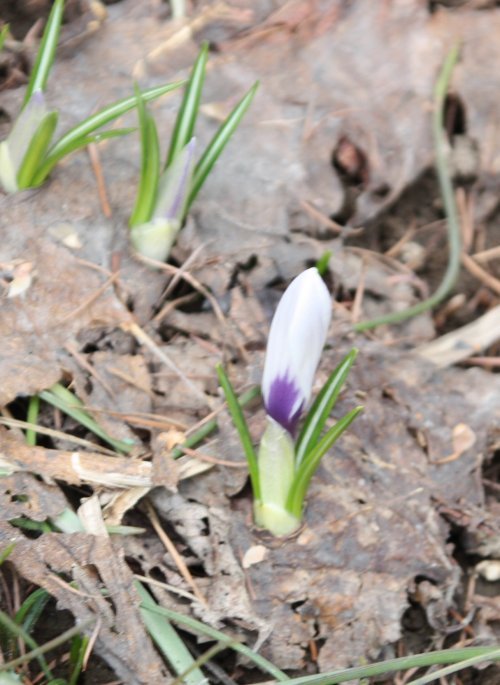 かりんと遊ぼっ♪