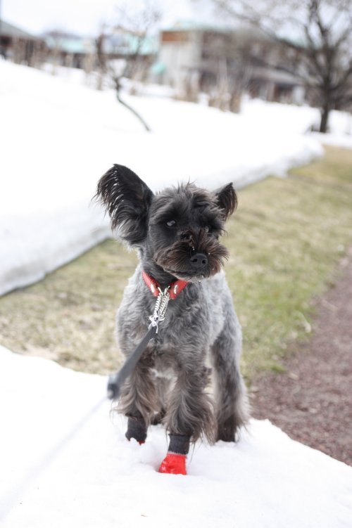 かりんと遊ぼっ♪