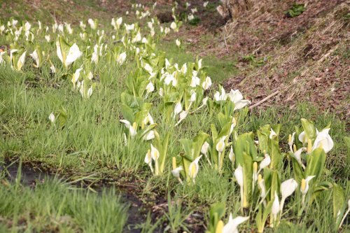 かりんと遊ぼっ♪