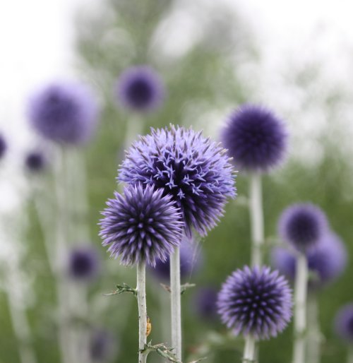 かりんと遊ぼっ♪