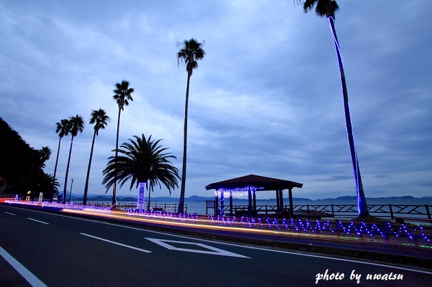 明浜イルミネーション (1)