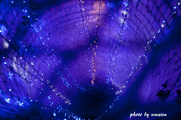 明浜イルミネーション (3)