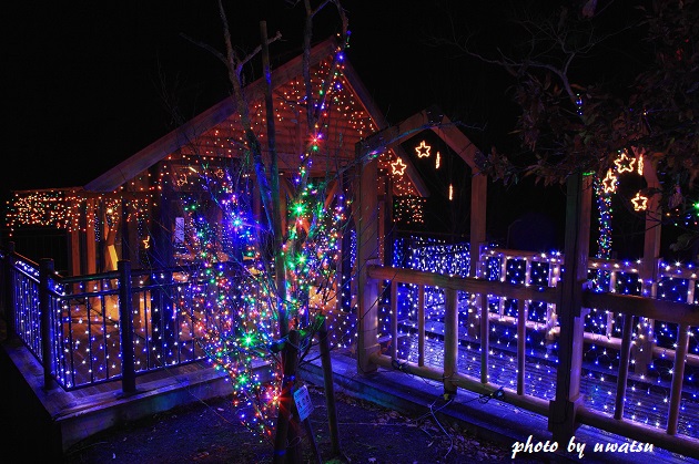 三間イルミネーション (3)