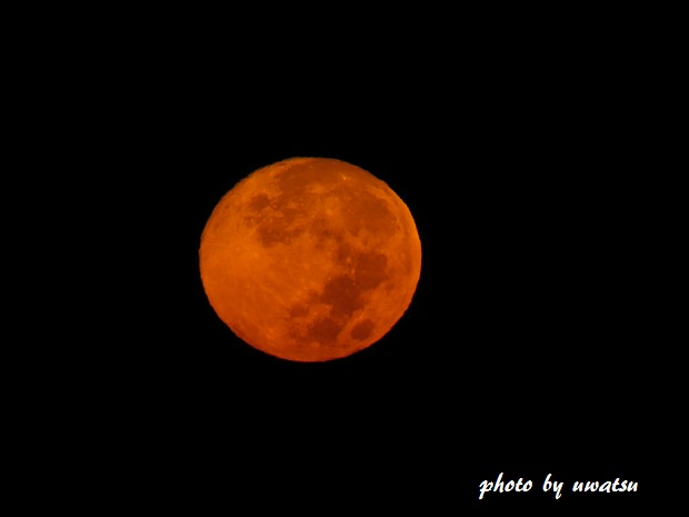 赤い満月 (1)