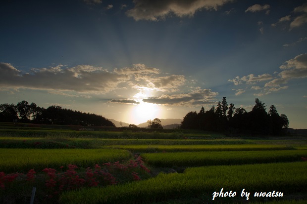 檜隈寺跡夕景 (1)