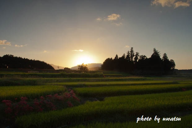 檜隈寺跡夕景 (2)