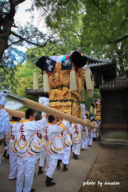 新居浜太鼓台 (2)