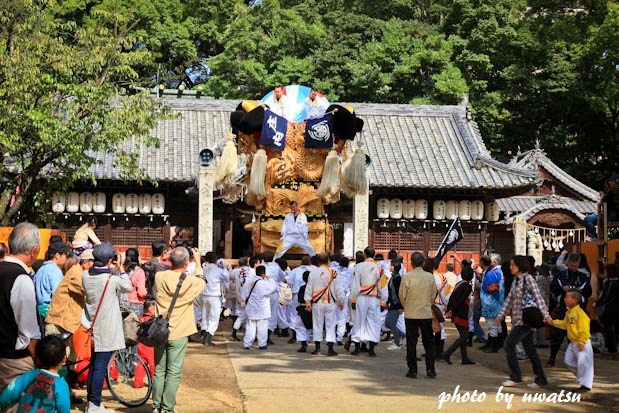 新居浜太鼓台 (6)