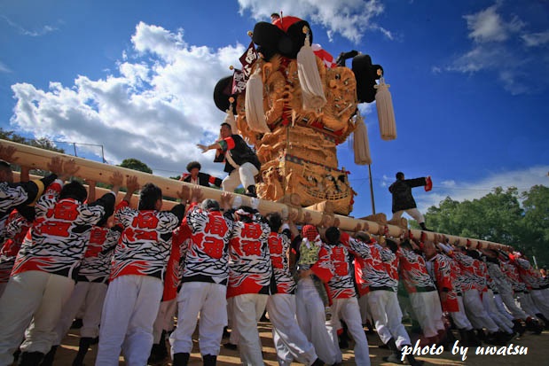 新居浜太鼓祭り (8)