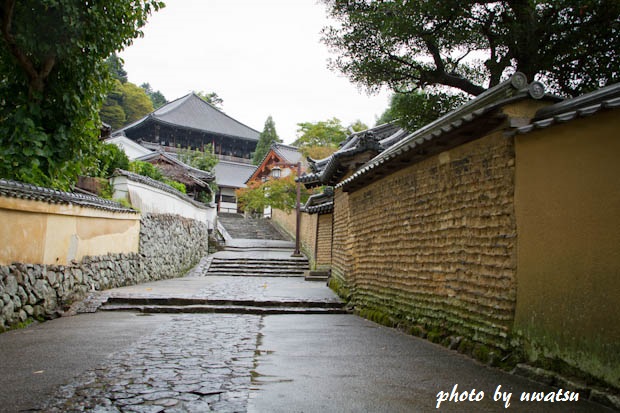 2月堂裏参道 (1)