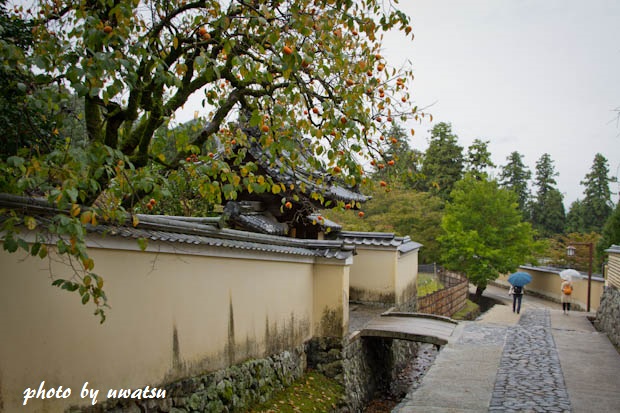 2月堂裏参道 (3)