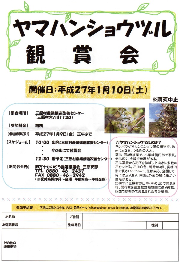 ヤマハンショウヅル (1)