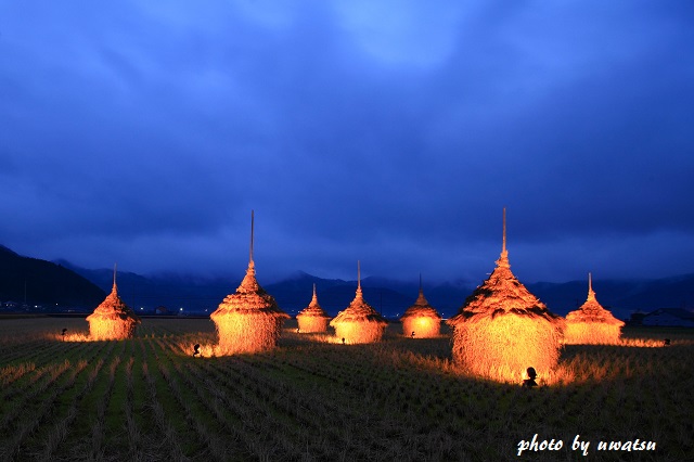 わらぐろライトアップ (1)