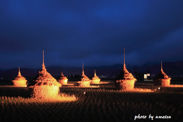 わらぐろライトアップ (3)