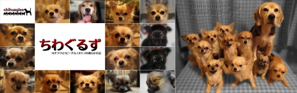 ヘッダー(2014/01)