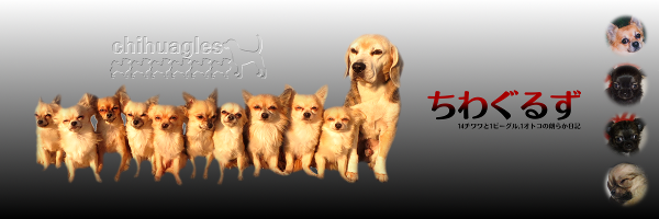 ヘッダー(2015/04)