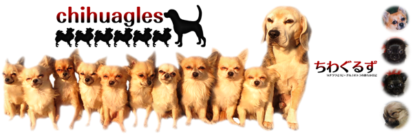 ヘッダー(2015/05)